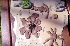 Clay creations